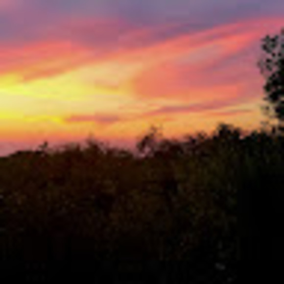 Meet your Posher, Rebecca - Picture 1 of 1